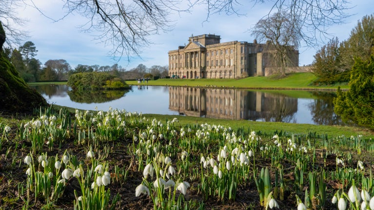 Snowdrops and reflection lake at Lyme, Cheshire